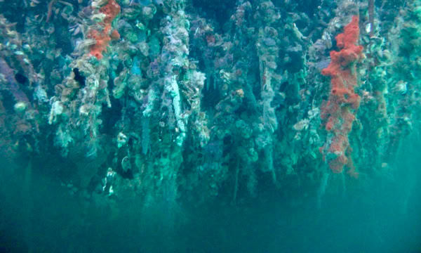 Hidden Snorkeling Spots