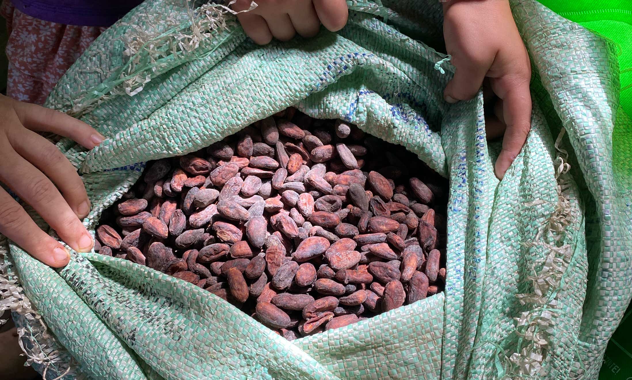 Sundried Cacao