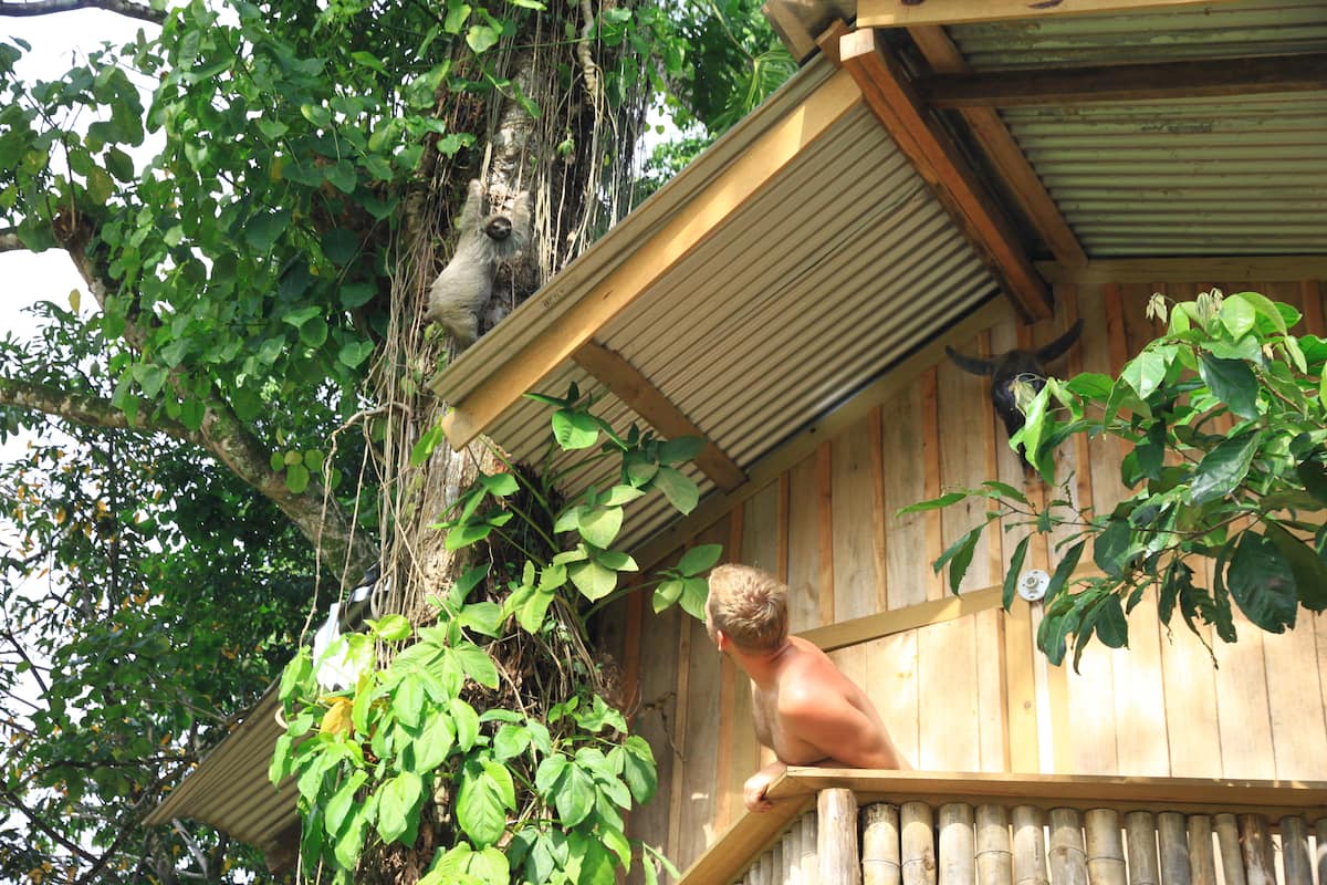 Whimsical Treehouse View 1
