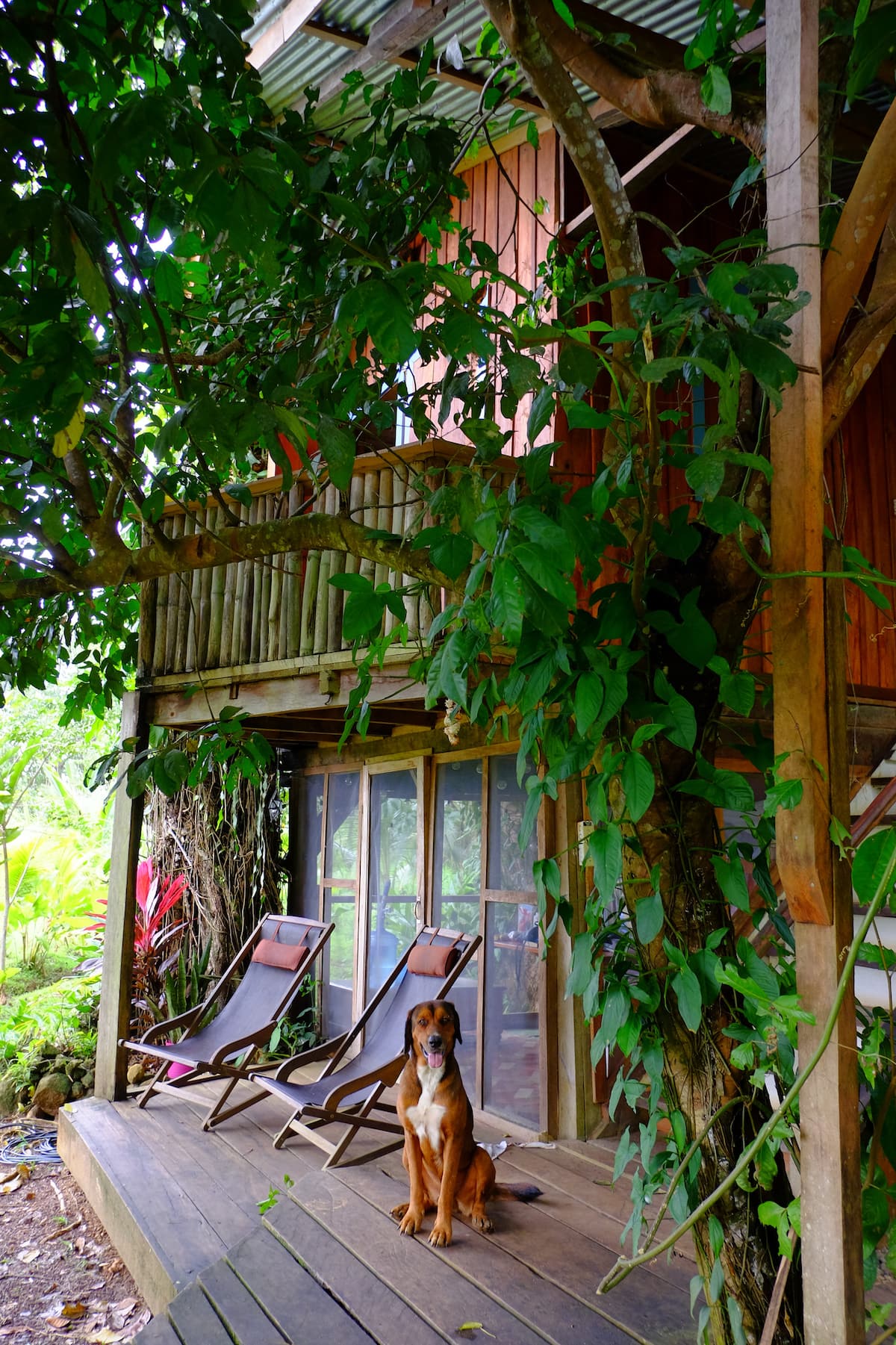 Whimsical Treehouse View 5