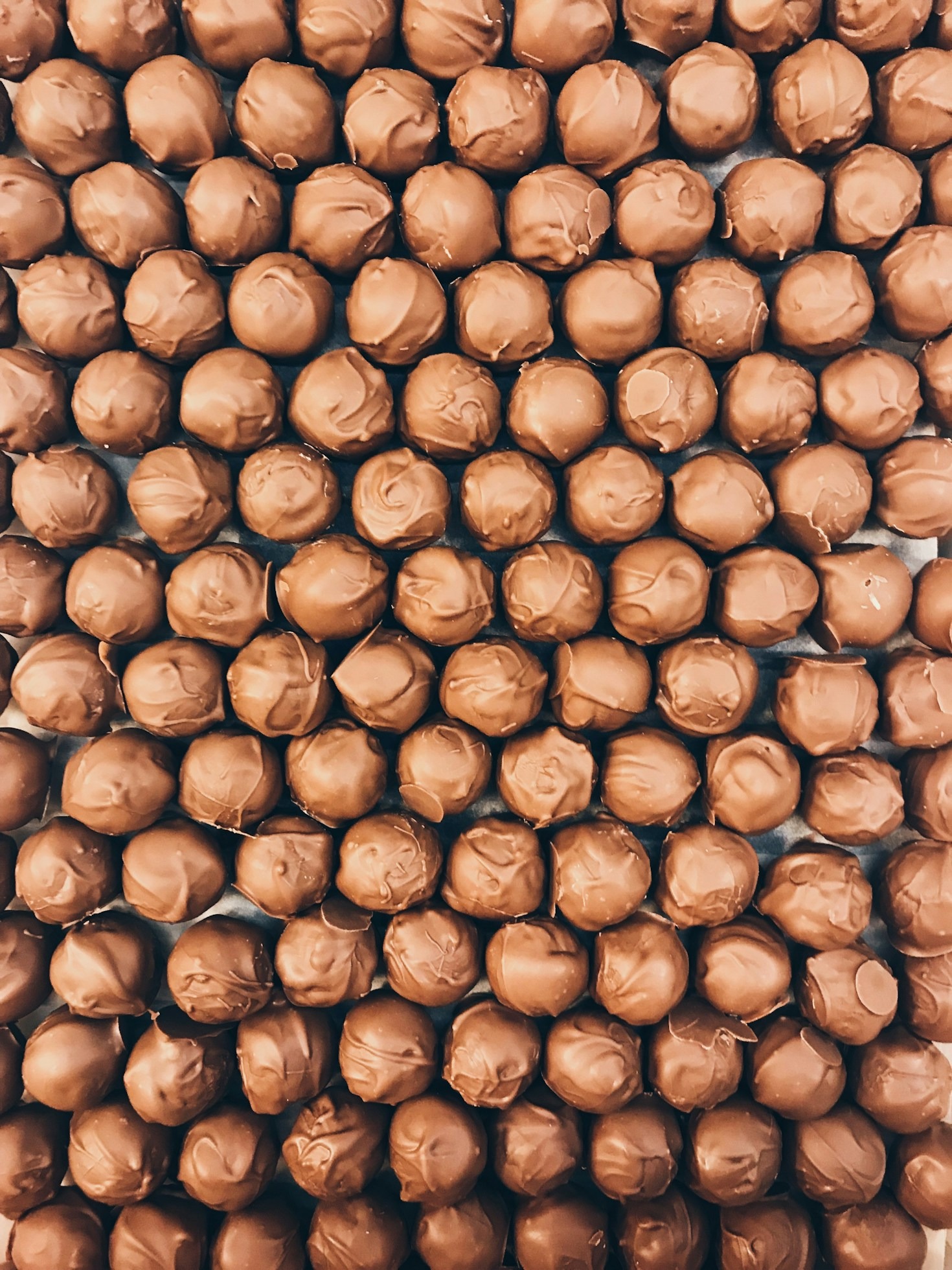 The Unseen Beauty of the Bocas Cacao Forest