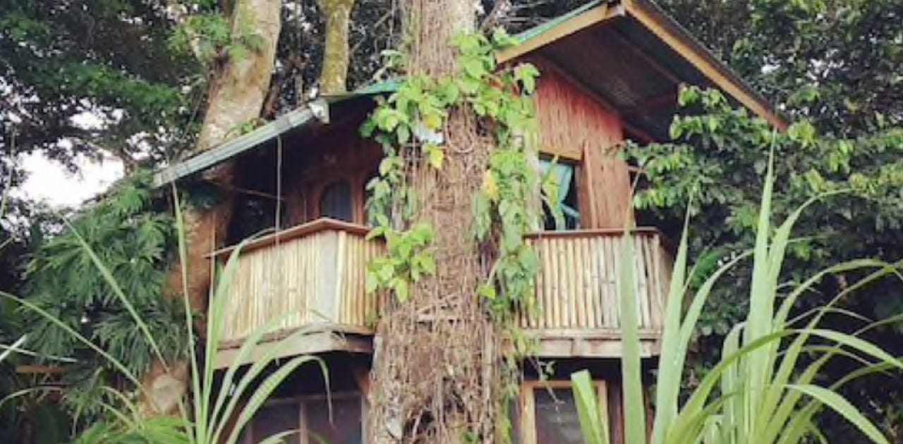 whimsical treehouse