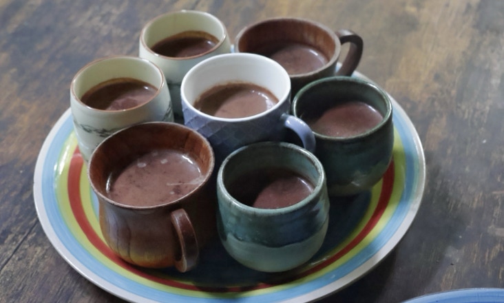 farm fresh hot chocolate, from tree to treat